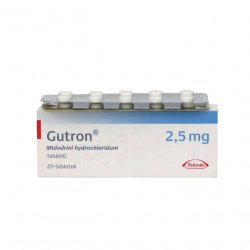 Гутрон таблетки 2,5 мг. №20 в Кургане и области фото